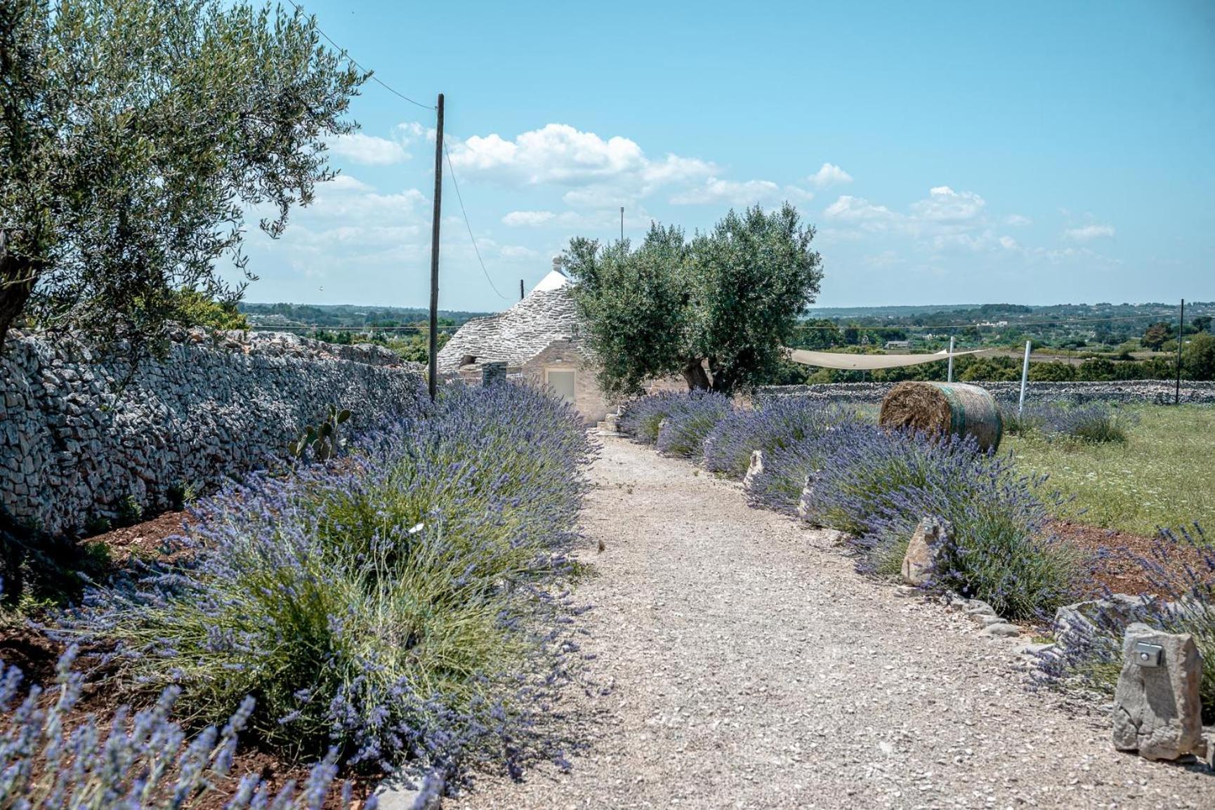 Masseria Pavone มาร์ตินาฟรังกา ภายนอก รูปภาพ