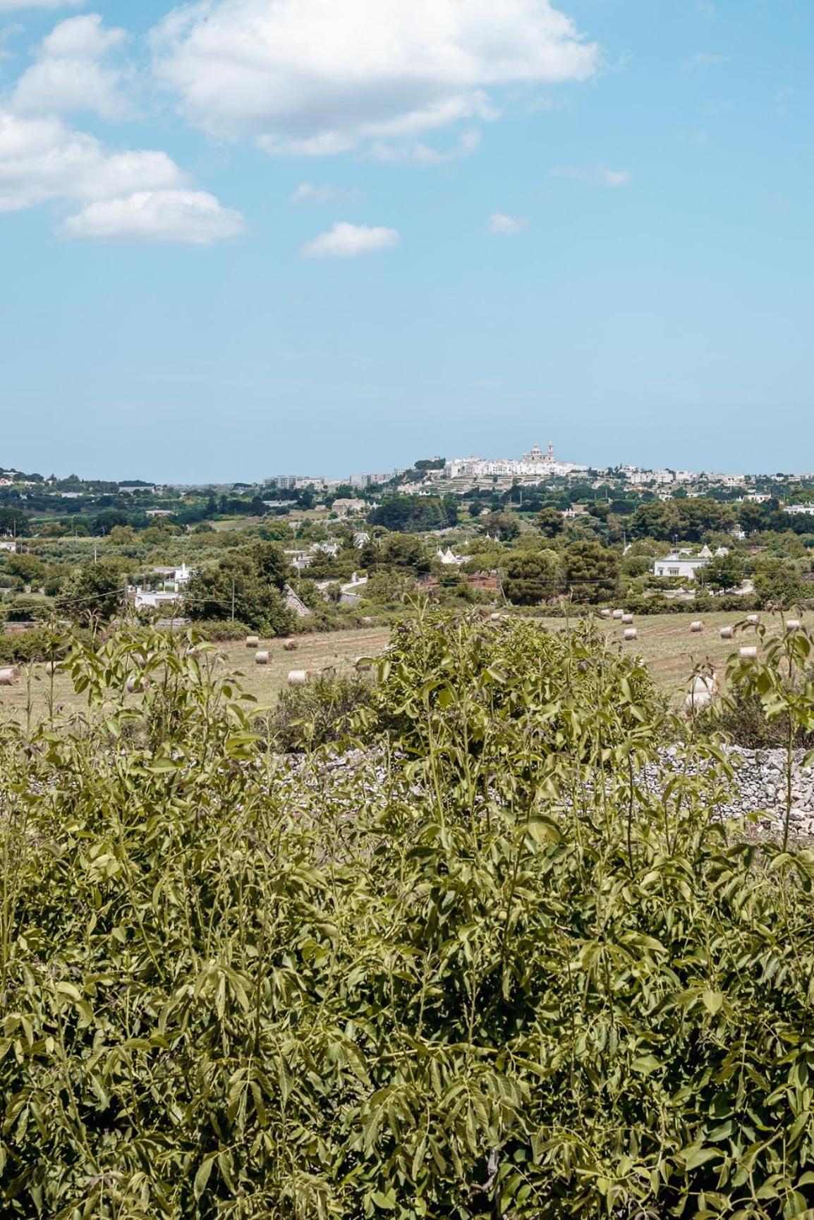 Masseria Pavone มาร์ตินาฟรังกา ภายนอก รูปภาพ