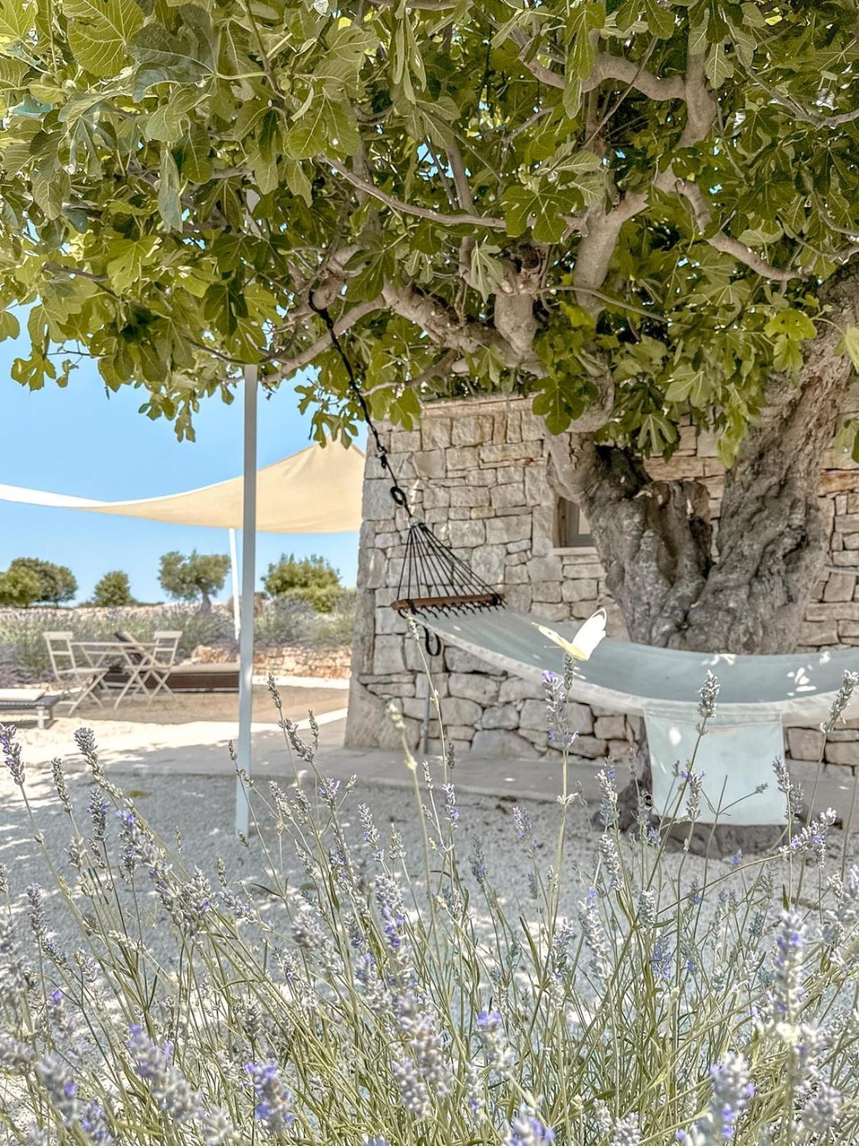 Masseria Pavone มาร์ตินาฟรังกา ภายนอก รูปภาพ